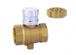 Brass valve